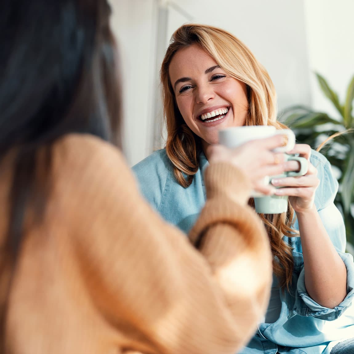 Refer a Friend and Enjoy FREE Management Services